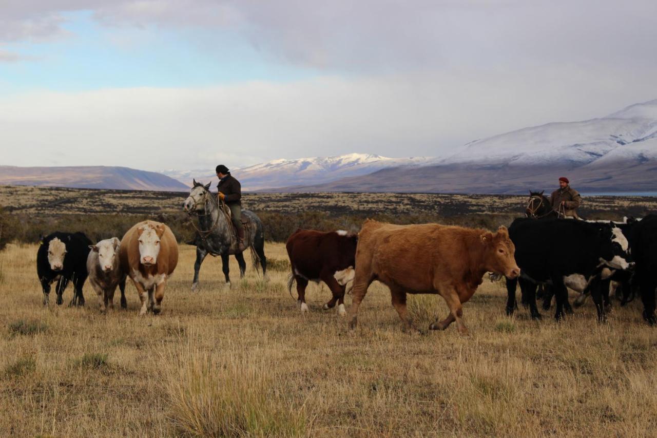 Torres del Paine National Park Hosteria Tercera Barranca المظهر الخارجي الصورة